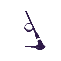 Pga Tour Golf Sticker by Truist