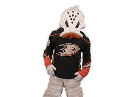 Ice Hockey Thumbs Up Sticker by NHL