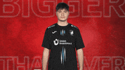 Tsg Hoffenheim Sign GIF by Bundesliga