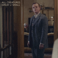 allcreaturestv animals shh silence spying GIF