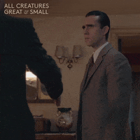 allcreaturestv animals handshake yorkshire veterinarian GIF