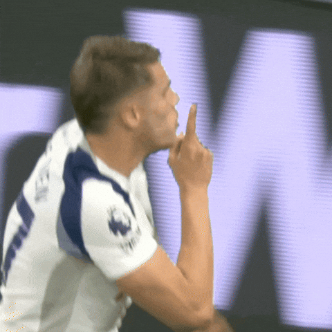 Celebration Goal GIF by Tottenham Hotspur