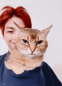 kdcolor kangdaniel 강다니엘 강오리 kangori GIF