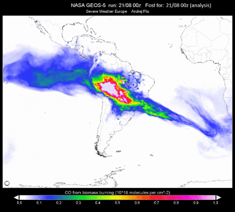 elcolombiano giphygifmaker amazonas amazonia GIF