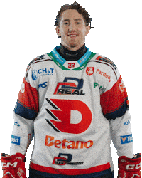 Lukas Sedlak Hockey Sticker by HC Dynamo Pardubice