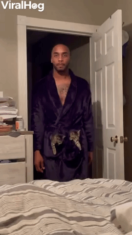Cat Dad Carries Around His Two Rescue Kittens
