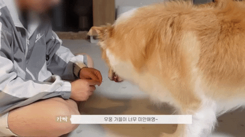 Toooootmtmtm giphyupload GIF