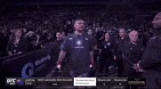Mixed Martial Arts Sport GIF by UFC