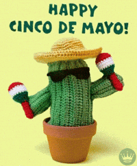 May 5Th Stop Motion GIF by Hallmark Gold Crown