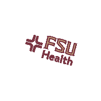 Gold Garnet Sticker by Florida State University