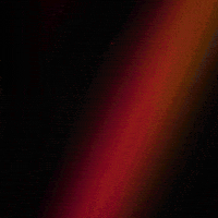 Dresden Go For Gold GIF by Die Finals