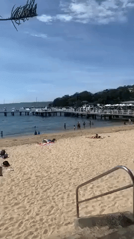 Balmoral Beachgoers Ignoring Social Distancing Prompts Sydney Police Response
