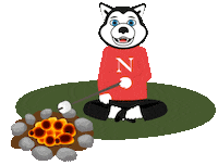 nuexperience Sticker by Northeastern University