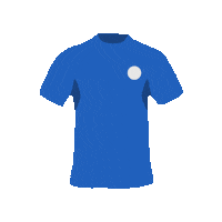 RuggetteRFC rugby italy ruggetterfc fantasyrugby Sticker