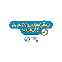 Aprovados Sticker by Escola Thathi