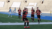 DesMoinesMenace des moines menace soccer GIF