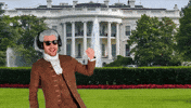 White House Dc GIF