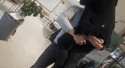teun GIF by VR-Innovations