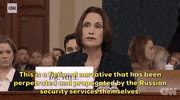 news impeachment impeachment inquiry opening statement fiona hill GIF