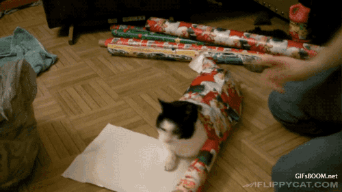 how to wrap your cat for christmas GIF