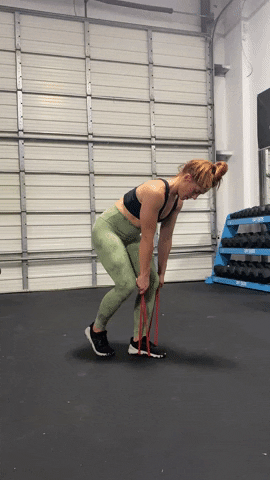 megsquats giphyupload GIF