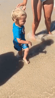 Fearless Toddler Shows the Grown Ups How to Attack a Wave