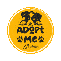adoptesumascota perro adopt adoption adopta Sticker