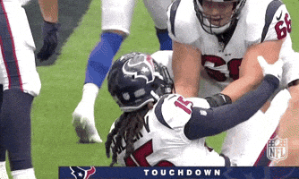 2018 nfl football GIF by NFL