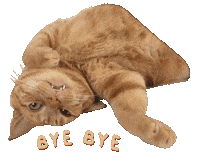 Bye Bye Goodbye Sticker