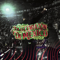 Show Banda GIF by Josi Cuen