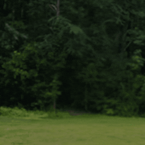 Adhd Superpowers GIF by Theresa Lear Levine