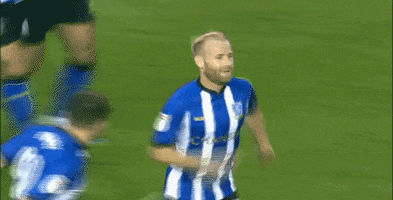 elf win GIF by Sheffield Wednesday Football Club