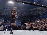 Royal Rumble Wrestling GIF by WWE