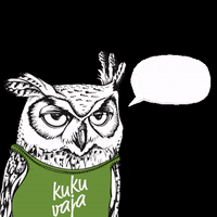 Kukuvaja wow owl eule kukuvaja GIF