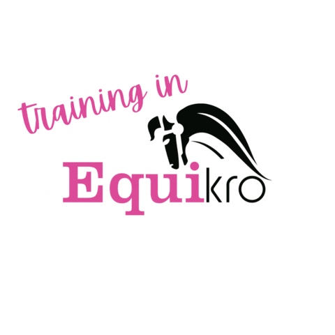 Training Horses Sticker by Equikro