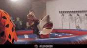 bullettime GIF by Theflug360