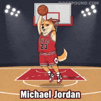 Winning Chicago Bulls GIF by Doge Pound