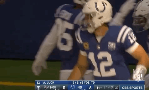 2018 Nfl Football GIF by NFL