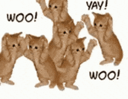 Excited Great Job GIF