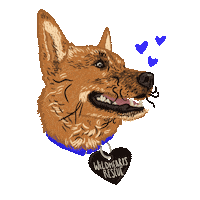 Dog Finn Sticker by d43lyn