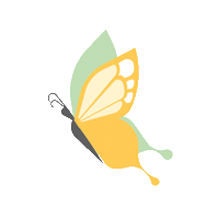 butterfly superhostassessment Sticker by Airbnb