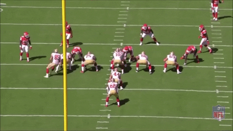 DH82 giphygifmaker 49ers jimmyg sanfrancisco49ers GIF