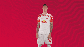 Oh Yeah Yes GIF by RB Leipzig