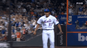 Lets Go Baseball GIF by SNY