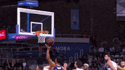 Tirar Liga Endesa GIF by ACB