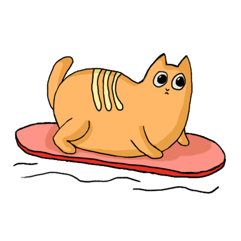 diasesa giphyupload cat summer beach Sticker