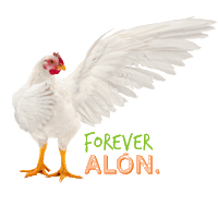 Sticker by Bachoco
