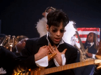 prince dolphin GIF