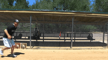 Softball GIF by South Suburban Parks & Rec