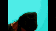 Music Video Singing GIF by Pure Noise Records